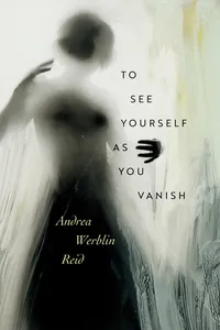To See Yourself As You Vanish_cover