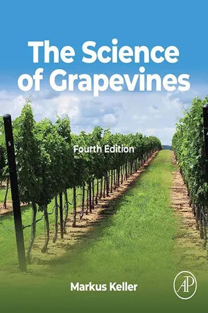 The Science of Grapevines