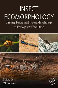 Insect Ecomorphology_cover