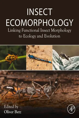Insect Ecomorphology