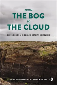 From the Bog to the Cloud_cover