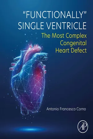 "Functionally" Single Ventricle