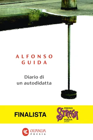 Diario di un autodidatta