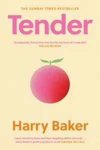 Tender_cover