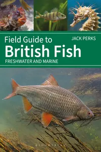 Field Guide to British Fish_cover