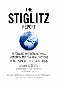 The Stiglitz Report_cover