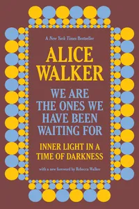 We Are the Ones We Have Been Waiting For_cover