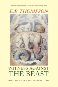 Witness Against the Beast_cover
