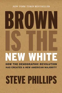 Brown Is the New White_cover