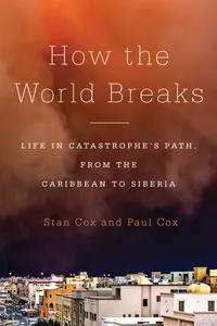 How the World Breaks_cover