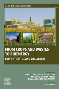 From Crops and Wastes to Bioenergy_cover