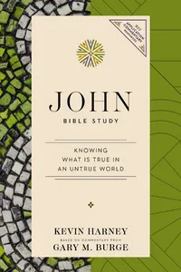 John Bible Study_cover
