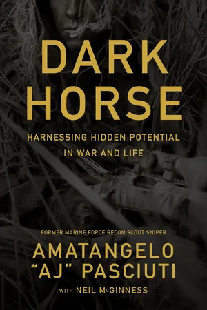Darkhorse