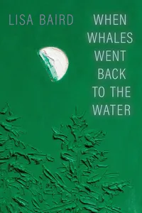 When Whales Went Back to the Water_cover