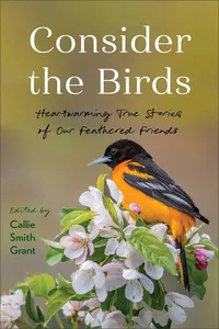 Consider the Birds_cover