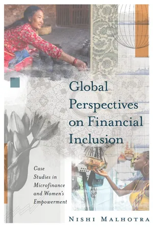 Global Perspectives on Financial Inclusion