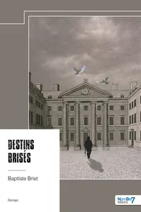 Destins brisés_cover