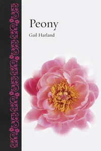 Peony_cover
