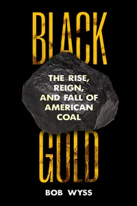 Black Gold_cover