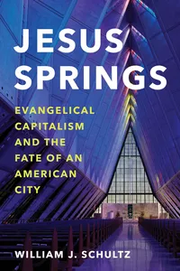 Jesus Springs_cover