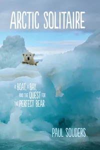 Arctic Solitaire_cover