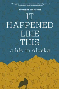 It Happened Like This_cover