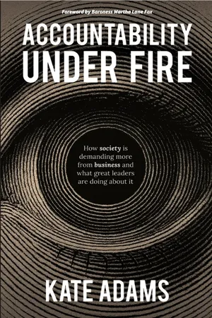 Accountability Under Fire