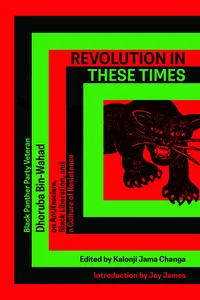Revolution In These Times_cover