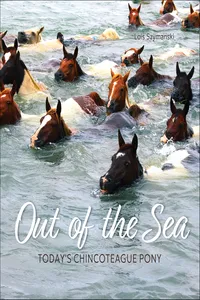 Out of the Sea_cover