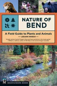Nature of Bend_cover