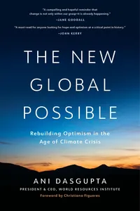 The New Global Possible_cover