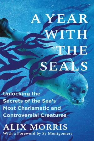 A Year with the Seals