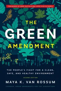 The Green Amendment_cover