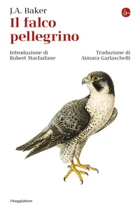 Il falco pellegrino_cover