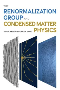 The Renormalization Group and Condensed Matter Physics