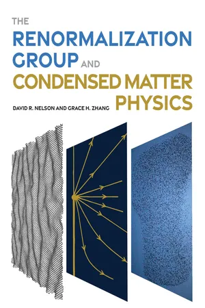 The Renormalization Group and Condensed Matter Physics
