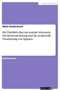 Ein Überblick über das zentrale Sehsystem. Die Reizweiterleitung und die strukturelle Verarbeitung von Signalen_cover