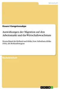 Auswirkungen der Migration auf den Arbeitsmarkt und das Wirtschaftswachstum_cover