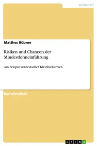 Risiken und Chancen der Mindestlohneinführung_cover