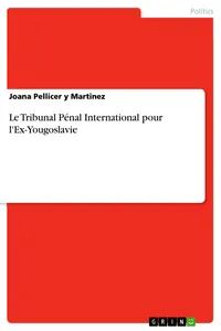 Le Tribunal Pénal International pour l'Ex-Yougoslavie_cover