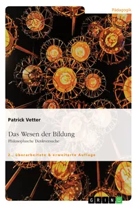 Das Wesen der Bildung. Philosophische Denkversuche_cover