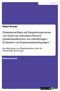 Zusammenschluss und Integrationsprozesse von Teams im stationären Bereich. Qualitätsindikatoren zur mittelfristigen Evaluation von Teamzusammenlegungen_cover