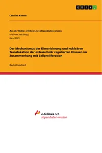 Der Mechanismus der Dimerisierung und nukleären Translokation der extrazellulär regulierten Kinasen im Zusammenhang mit Zellproliferation_cover