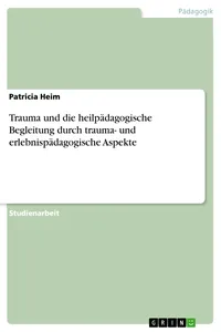 Trauma und die heilpädagogische Begleitung durch trauma- und erlebnispädagogische Aspekte_cover