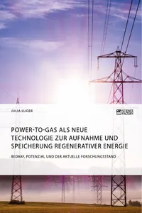 Power-to-Gas als neue Technologie zur Aufnahme und Speicherung regenerativer Energie. Bedarf, Potenzial und der aktuelle Forschungsstand_cover