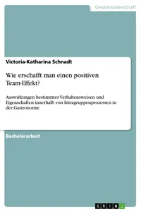 Wie erschafft man einen positiven Team-Effekt?_cover