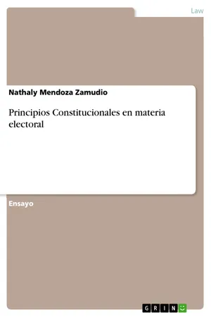 Principios Constitucionales en materia electoral