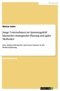 Junge Unternehmen im Spannungsfeld klassischer strategischer Planung und agiler Methoden_cover