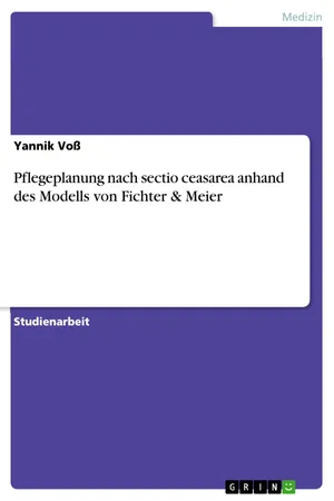 Pflegeplanung nach sectio ceasarea anhand des Modells von Fichter & Meier