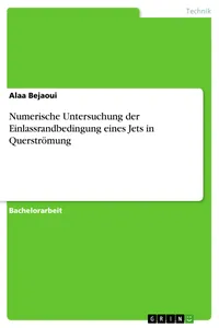Numerische Untersuchung der Einlassrandbedingung eines Jets in Querströmung_cover